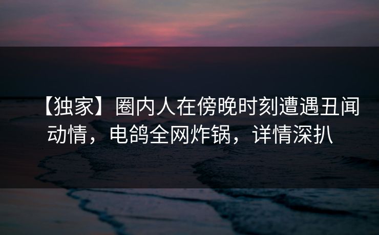 【独家】圈内人在傍晚时刻遭遇丑闻动情，电鸽全网炸锅，详情深扒